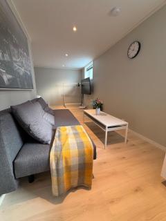 Cozy basement apartment in Orkanger - 9