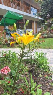 Kenti's Home Ollantaytambo - 1