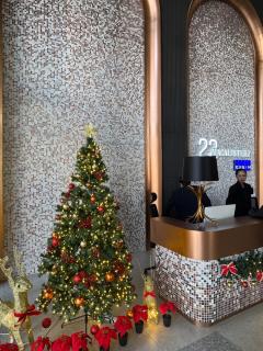 Lovecozy Home 22M Macalister - 7