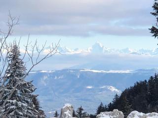 La Bergerie - 7