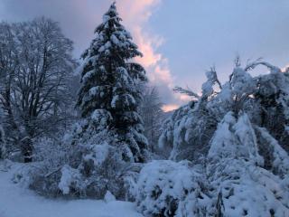 La Bergerie - 9