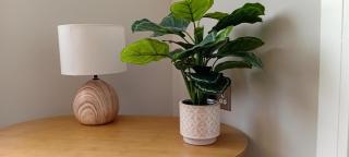 Martindale Close - 3 Bedrooms - Sleeps 5 - 2