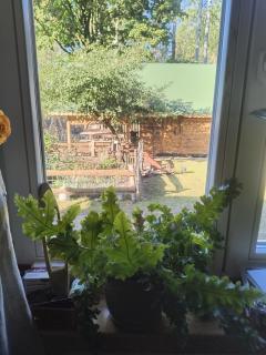 Gospodarstwo agroturystyczne alpaki Pituchówka - 5