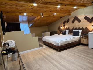 lily airport otel - 1