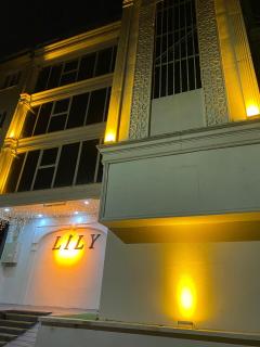 lily airport otel - 3