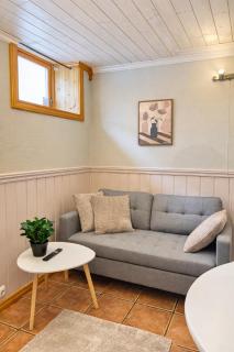 Studioleilighet i Skien - 7