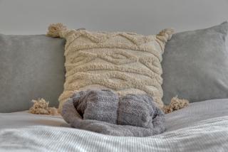 The Little Haven - 3