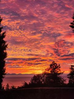 2BD Guest Suite Sleeps 6 Near Downtown & Beach - 5