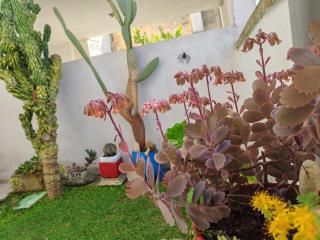 Casetta Manila - Uggiano la Chiesa - 8