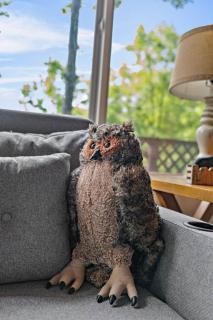 Two Owls and a View - 3