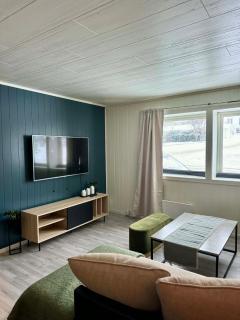 Large apartment centrally located in Gravdal - 1