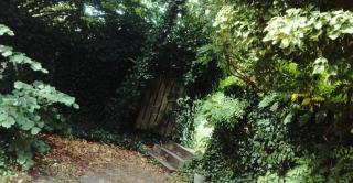 Greenbrook Homes - Jungle Suite - 5