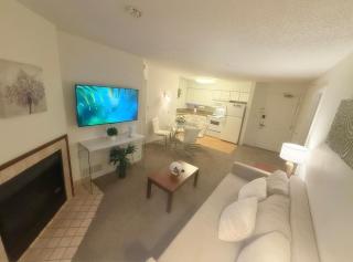 Cozy 1B Parking Wi Fi Near IAH DT & PASS - 2