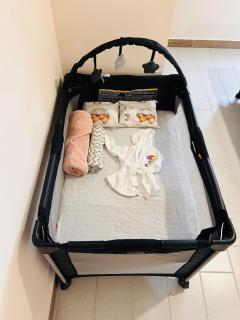 Lirio Miraflores Familia con bebes - 2