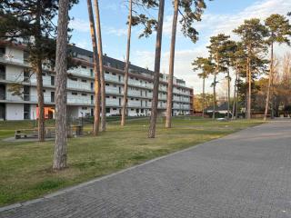 Apartment with Pool in Balatonlelle 55233 - 4