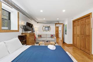 Fully Updated Jr, 1 Bed, Steps from Lincoln Park condo - 9