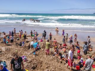 Hahei Island Views - 2