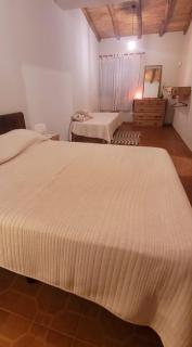 Barreal La Templanza Casa de Campo - 4