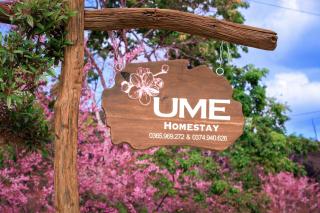 UME Homestay Măng Đen - 6