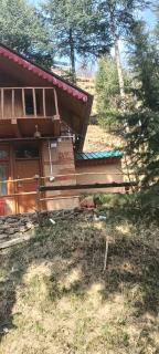 Alpine heaven forest view cottage jibhi, - 8