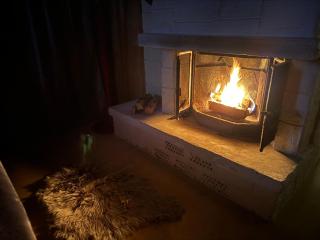 Private Pool & Nordic Sauna Retreat - Porsgrunn - 1