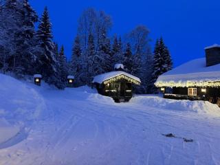 Skogstad Lodge, Hemsedal - 4