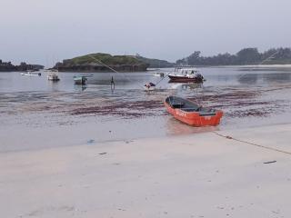 Charming 2BR Garden Stay Watamu - 1