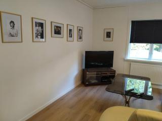 Family-Friendly Apartment Retreat in Dalarna Sweden - 8