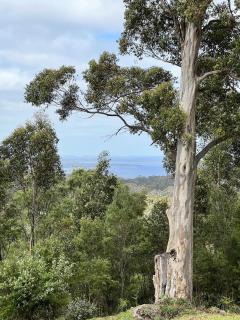 Shadforth Rise: Spacious, modern home, beautiful views, 4 mins to town - 1