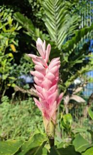 Wohlfühloase im eigenen Haus auf 120 qm mit Garten - 4