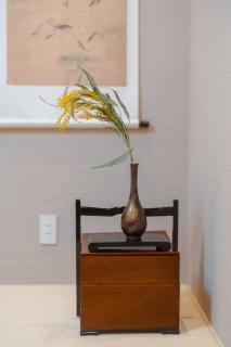 Kyoto Amazing The Wizarad of Oz - 2