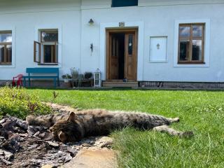 Na chalupu do Líšnice - 4