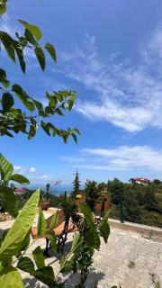 Willa's Trebisonda Bungalov - 3