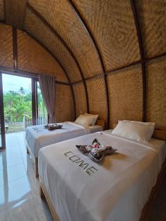 Eco Moringa Garden - 3