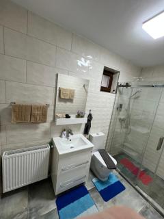 Emanuela Apartments - Pecica - 2