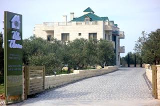 Villa Olivera Hotel - 2