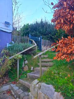 Camembert & Crustacés - 9