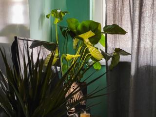 Hidden Apartment City Center - 3