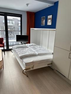 Ski-in ski-out - Hemsedal Fjellandsbyen - Hemsedal - 8