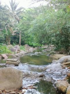 Ingphai Homestay - 3