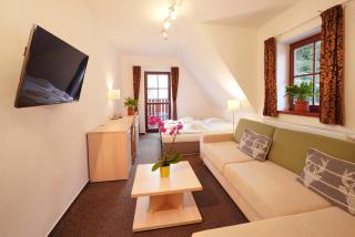 Wellness hotel Sauna - Malá Morávka - 8