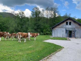 Chalet Les Ammonites 2 chambres en Franche Comte au calme dans la nature - 7