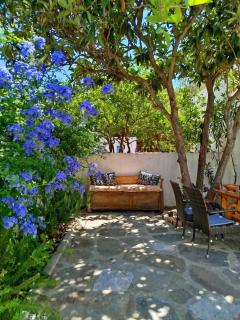 Almond trees house - 9