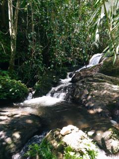 Hidden Escape Munnar - 8