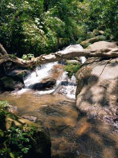 Hidden Escape Munnar - 6