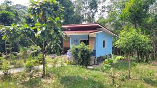 Blue Cottage Koh Kood - 0