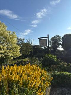 Tregolls Farm Cottages - 9