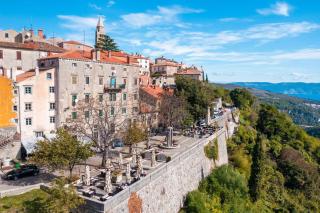 Relaxing Garden Apartments Labin - Indira - 7