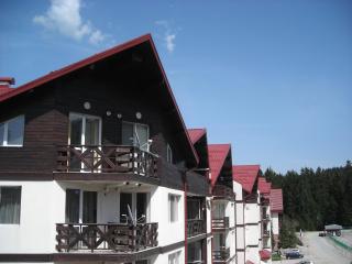 Iglika 2 Top Floor apartment - Borovets - 9