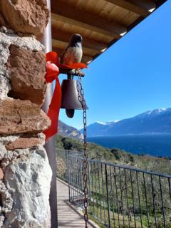 Casa del Codirosso - 0